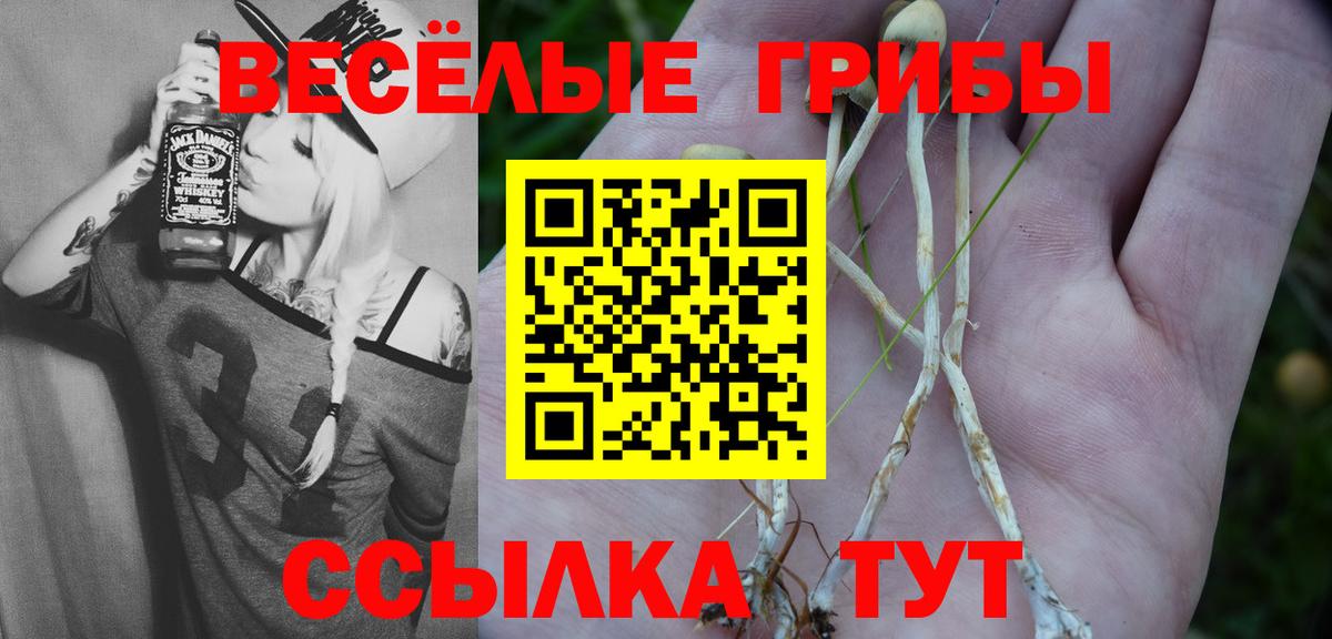 Галлюциногенные грибы ЛСД  Галлюциногенные грибы прущие грибы  Кунгур  Вход с VPN 