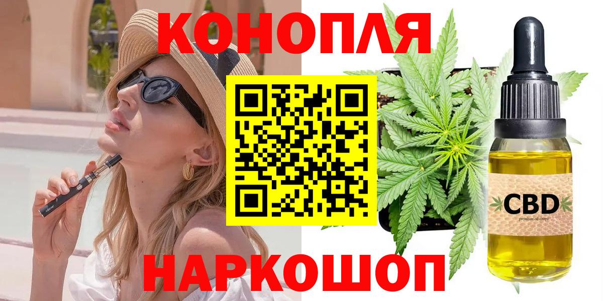 Канабис сатива Кунгур